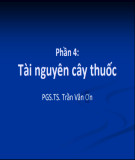 Bài giảng Tài nguyên cây thuốc - PGS.TS. Trần Văn Ơn