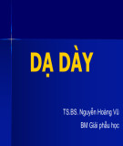 Bài giảng Dạ dày - TS.BS. Nguyễn Hoàng Vũ