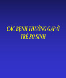 Bài giảng Các bệnh thường gặp ở trẻ sơ sinh (27 trang)