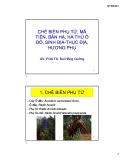 Bài giảng Chế biến phụ tử, mã tiền, bán hạ, hà thủ ô đỏ, sinh địa-thục địa, hương phụ - PGS.TS. Bùi Hồng Cường
