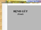 Bài giảng Bệnh gút (Gout)