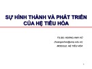 Bài giảng Sự hình thành và phát triển của hệ tiêu hóa - TS.BS. Hoàng Anh Vũ