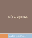 Bài giảng Giới nấm (Fungi) - Hoàng Quỳnh Hoa