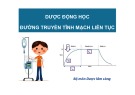 Bài giảng Dược động học đường truyền tĩnh mạch liên tục