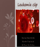 Bài giảng Leukemia cấp - BS. Phan Thị Tố Như