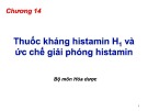Bài giảng Hóa dược: Chương 14 - Thuốc kháng histamin H1 và ức chế giải phóng histamin