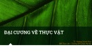 Bài giảng Đại cương về Thực vật - TS. Hoàng Quỳnh Hoa