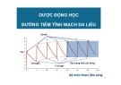 Bài giảng Dược động học đường tiêm tĩnh mạch đa liều