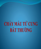 Bài giảng Chảy máu tử cung bất thường