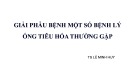 Bài giảng Giải phẫu bệnh một số bệnh lý ống tiêu hóa thường gặp - TS. Lê Minh Huy