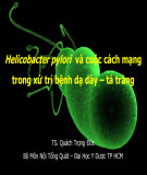 Bài giảng Helicobacter pylori và cuộc cách mạng trong xử trí bệnh dạ dày và tá tràng - TS. Quách Trọng Đức