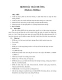 Bệnh đái tháo đường (Diabetes Mellitus)