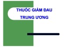 Bài giảng Thuốc giảm đau trung ương