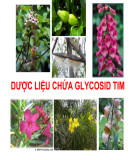 Bài giảng Dược liệu chứa glycosid tim (27 trang)