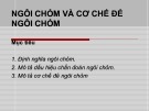 Bài giảng Ngôi chỏm và cơ chế đẻ ngôi chỏm