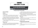 Kế hoạch bài dạy Giáo dục thể chất 5 - Chủ đề 1, Bài 1: Phối hợp đội hình đội ngũ (Sách Chân trời sáng tạo)