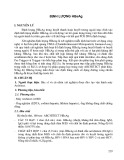 Định lượng HBsAg