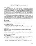 Định lượng IgM (Immunoglobuline M)
