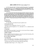 Định lượng CA 72-4 (Cancer antigen 72- 4)