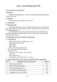 Parvo virus B19 Real-time PCR