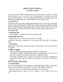 Định lượng CRP máu (C-reactive protein)