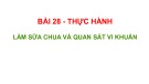 Bài giảng Khoa học tự nhiên 6 - Bài 28: Thực hành: Làm sữa chua và quan sát vi khuẩn (Sách Kết nối tri thức)