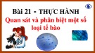 Bài giảng Khoa học tự nhiên 6 - Bài 21: Thực hành: Quan sát và phân biệt một số loại tế bào (Sách Kết nối tri thức)