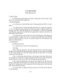 Hướng dẫn chẩn đoán và điều trị các bệnh da liễu: U xơ thần kinh (Neurofibromatosis)