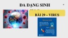 Bài giảng Khoa học tự nhiên 6 - Bài 29: Virus (Sách Kết nối tri thức)