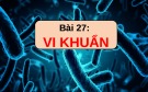 Bài giảng Khoa học tự nhiên 6 - Bài 27: Vi khuẩn (Sách Kết nối tri thức)