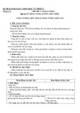 Kế hoạch bài dạy Khoa học 5: Tuần 12 (Sách Kết nối tri thức)