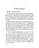 Kỹ thuật hút đờm dãi