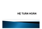 Bài giảng Hệ tuần hoàn (39 trang)