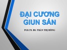 Bài giảng Đại cương giun sán - PGS.TS. BS. Trần Thị Hồng