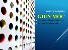 Bài giảng Giun móc Ancylostoma duodenale, Necator americanus - PGS.TS. Trần Thị Hồng