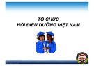 Bài giảng Tổ chức Hội Điều dưỡng Việt Nam