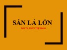Bài giảng Sán lá lớn - PGS. TS. Trần Thị Hồng