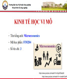 Bài giảng Kinh tế học vi mô - Nguyễn Thị Thanh Hà