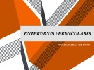 Bài giảng Enterobius vermicularis - PGS.TS.BS. Trần Thị Hồng