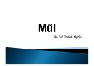 Bài giảng Mũi - Bs. Võ Thành Nghĩa