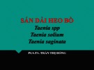Bài giảng Sán dải heo bò Taenia spp, Taenia solium, Taenia saginata - PGS. TS. Trần Thị Hồng