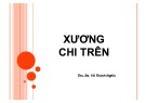 Bài giảng Xương chi trên - Ths. Bs. Võ Thành Nghĩa