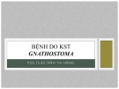 Bài giảng Bệnh do KST Gnathostoma - PGS.TS.BS Trần Thị Hồng