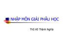 Bài giảng Nhập môn giải phẫu học - ThS. Võ Thành Nghĩa