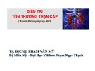 Bài giảng Điều trị tổn thương thận cấp (Acute Kidney Injury-AKI) - TS. BSCK2 Phạm Văn Mỹ