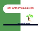 Bài giảng Gãy xương vùng cổ chân - ThS. BS. Nguyễn Lê Hoan