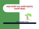 Bài giang Trật khớp vai, khớp khuỷu, khớp háng - ThS.BS. Nguyễn Lê Hoan