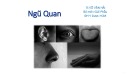 Bài giảng Ngũ quan - TS. Võ Văn Hải