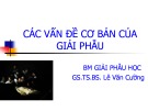 Bài giảng Các vấn đề cơ bản của giải phẫu - GS.TS.BS. Lê Văn Cường
