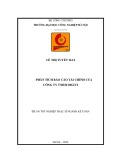 Luận văn Thạc sĩ Kế toán: Phân tích báo cáo tài chính Công ty của TNHH Digivi